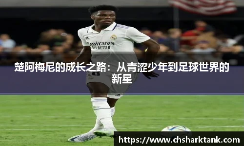 雷竞技raybet官方网站