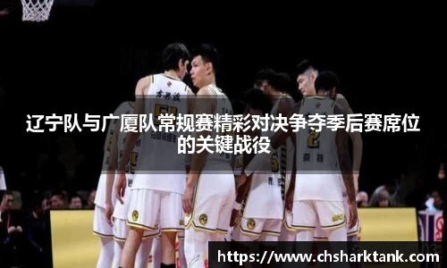 辽宁队与广厦队常规赛精彩对决争夺季后赛席位的关键战役