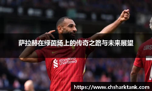 萨拉赫在绿茵场上的传奇之路与未来展望